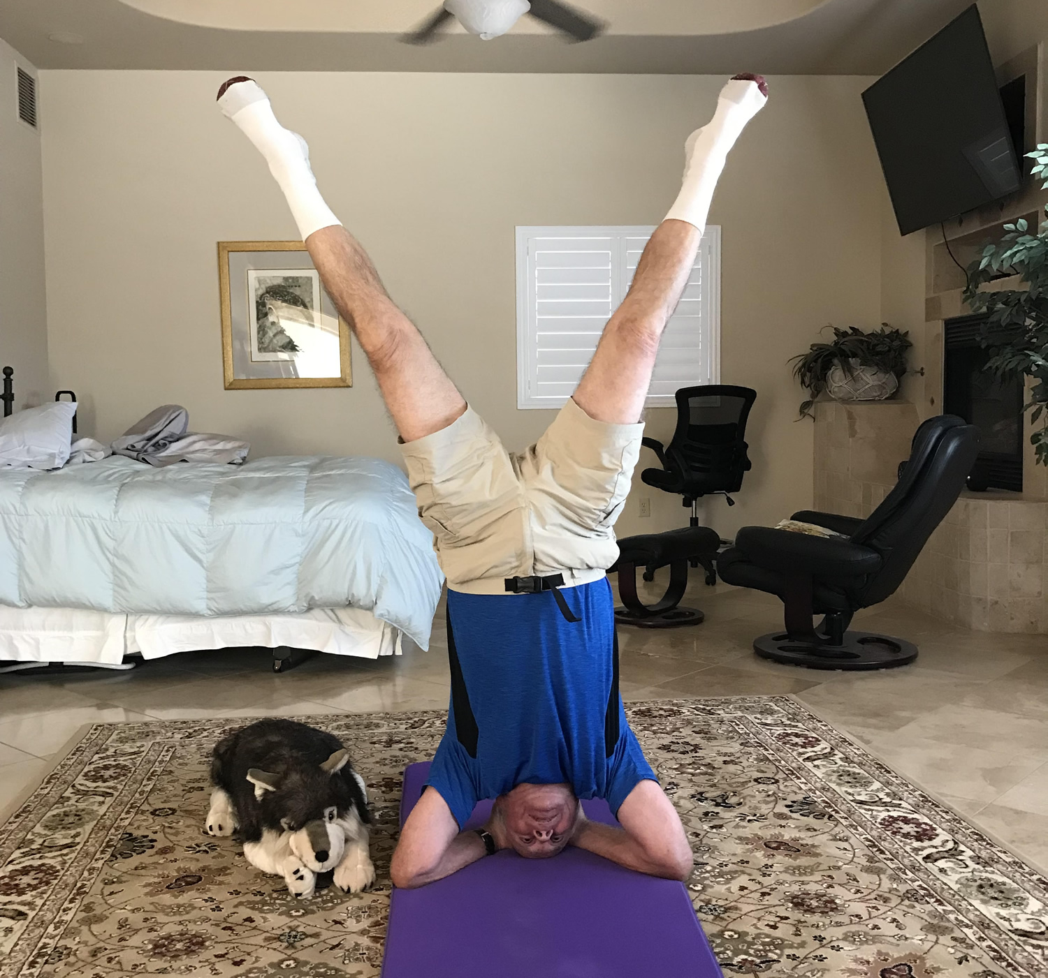 Orthopedic Surgeon in Chicago, Illinois, USA Eldin Karaikovic, M.D.